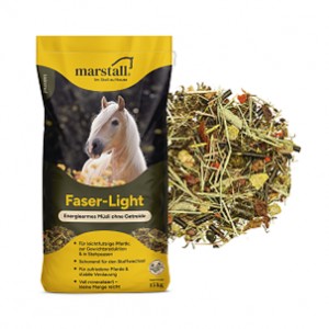Marstall Faser-Light