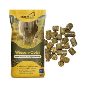 Marstall Wiesen-Cobs