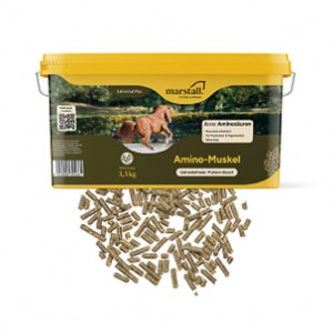 Marstall Amino-Muskel 