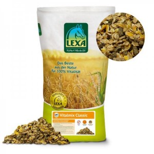LEXA Vitalmix Classic LEXA Vitalmix Classic